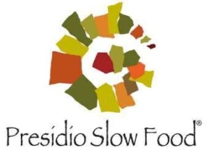 logo-presidio